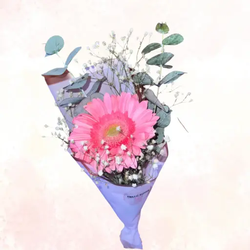 Pink Pop